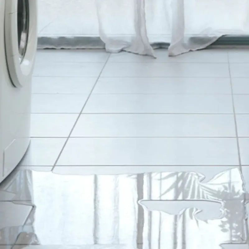 Appliance Leak Cleanup in Waverly, VA