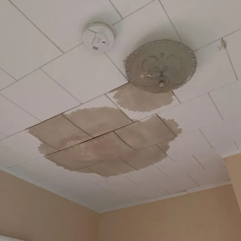 Ceiling Water Damage Repair in Waverly, VA
