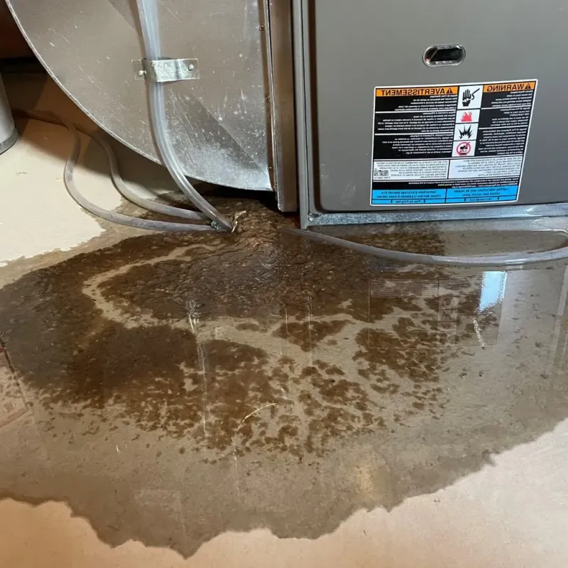 Pipe Burst and Leak Restoration in Waverly, VA