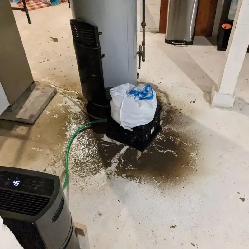Sewage Backup Cleanup Service in Waverly, VA